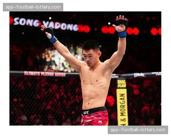 UFC选手宋亚东第二回合通过15比12有效打击反超对手